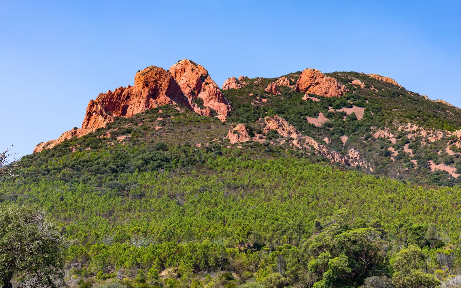 Route de Provence au pied de la Sainte-Baume, secteur de Saint-Maximin